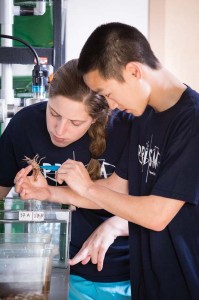 Patricia Hale ’16 and James Wilson ’16 examine a crayfish in their PRISM project.