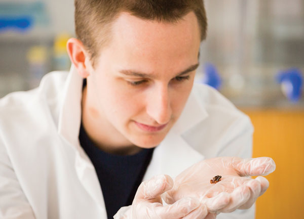 Keith Cochran ’16, a biology major from Gum Spring, holds a poison dart frog.